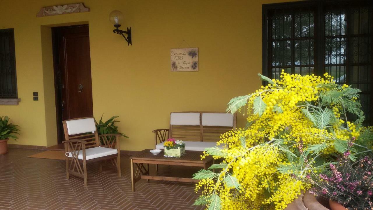 B&B La Vigna Di Federico 루바노 외부 사진