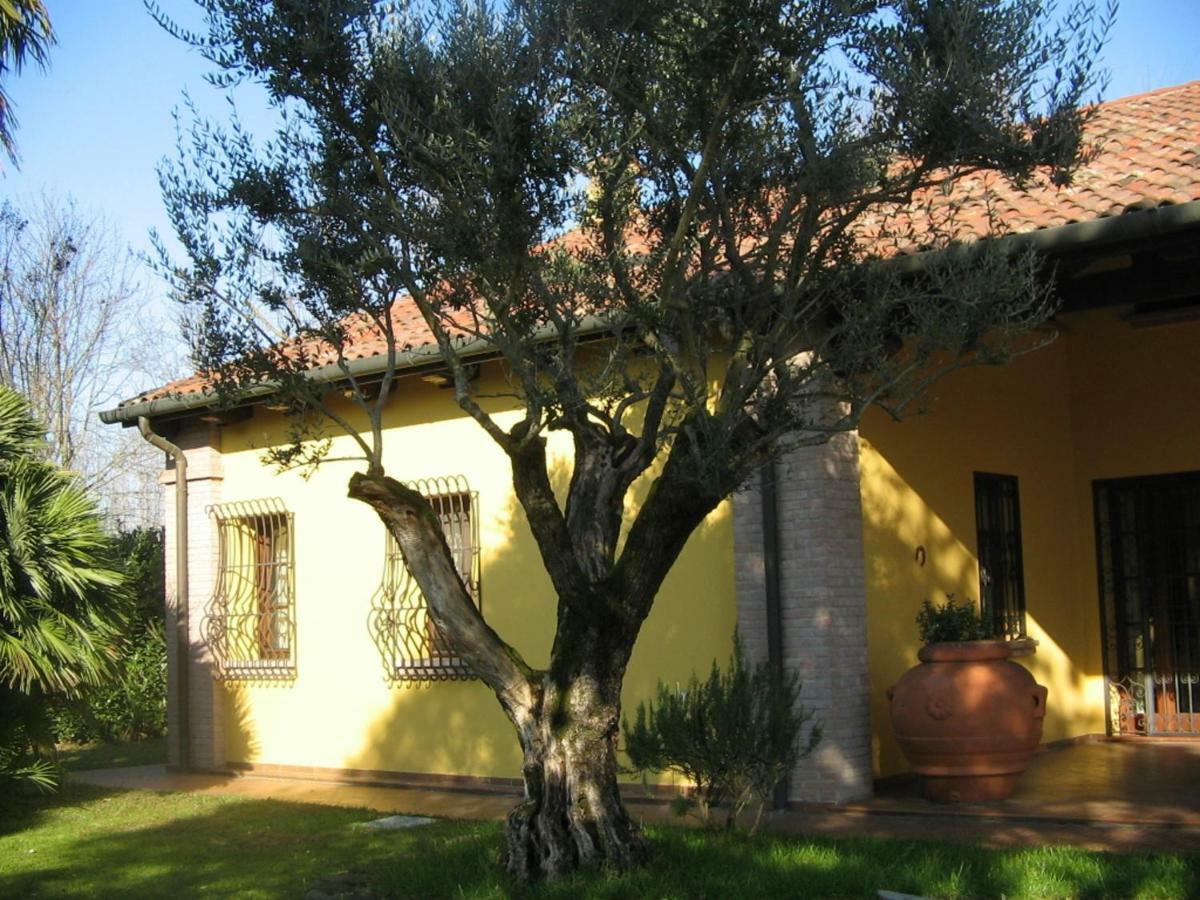 B&B La Vigna Di Federico 루바노 외부 사진